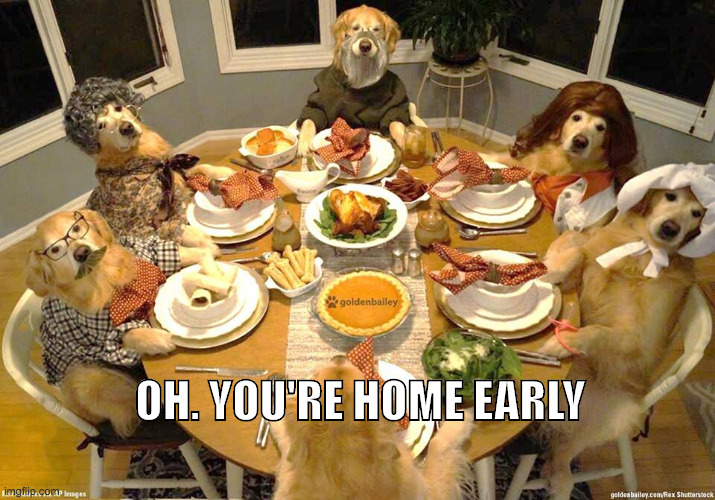 Dog Thanksgiving | OH. YOU'RE HOME EARLY | image tagged in dog thanksgiving | made w/ Imgflip meme maker