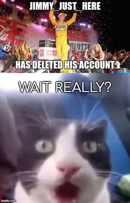 (Jimmys_New_acc: Hey im right here) | WAIT REALLY? | image tagged in cat shocked | made w/ Imgflip meme maker