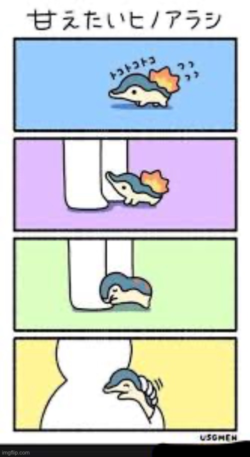 Cyndaquill | image tagged in cyndaquill | made w/ Imgflip meme maker