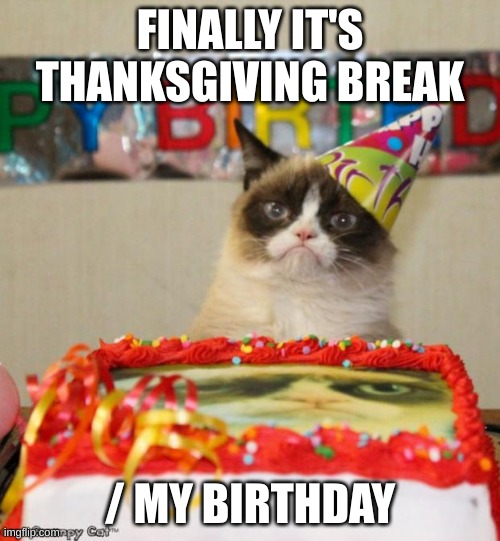 so fun be like | FINALLY IT'S THANKSGIVING BREAK; / MY BIRTHDAY | image tagged in memes,grumpy cat birthday,grumpy cat | made w/ Imgflip meme maker