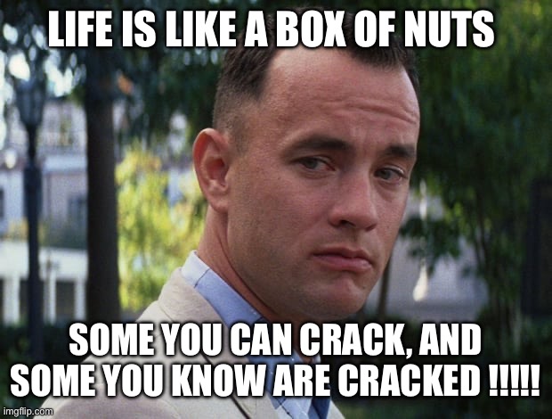 Life is like a box of chocolates | LIFE IS LIKE A BOX OF NUTS; SOME YOU CAN CRACK, AND SOME YOU KNOW ARE CRACKED !!!!! | image tagged in life is like a box of chocolates | made w/ Imgflip meme maker