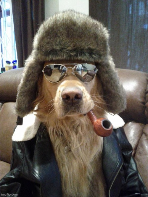 This dog got more drip than all of us ;-; | image tagged in napalm dog | made w/ Imgflip meme maker