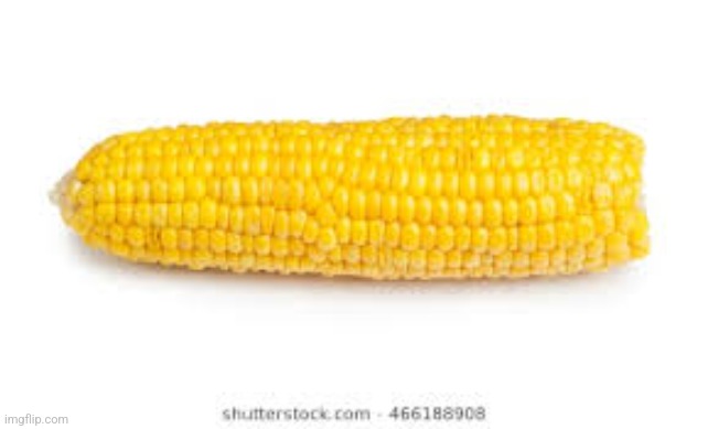 Hot single in your area | image tagged in corn on the cob | made w/ Imgflip meme maker