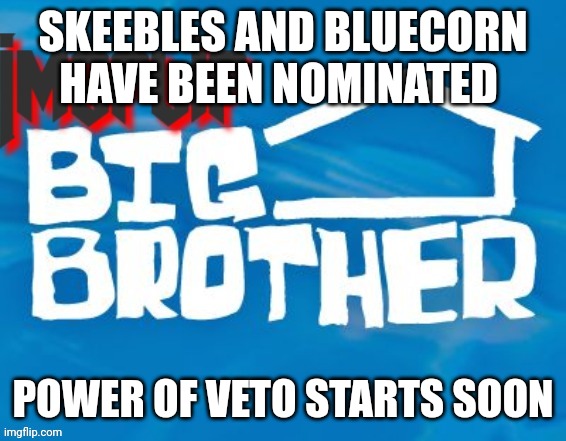 Nominations (yes) | SKEEBLES AND BLUECORN HAVE BEEN NOMINATED; POWER OF VETO STARTS SOON | image tagged in challenge,big brother | made w/ Imgflip meme maker