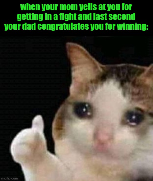 sad thumbs up cat | when your mom yells at you for getting in a fight and last second your dad congratulates you for winning: | image tagged in sad thumbs up cat | made w/ Imgflip meme maker