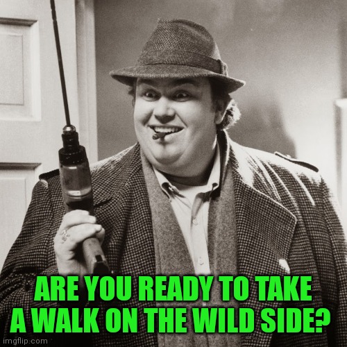 Wild Side | ARE YOU READY TO TAKE A WALK ON THE WILD SIDE? | image tagged in uncle buck,funny memes | made w/ Imgflip meme maker