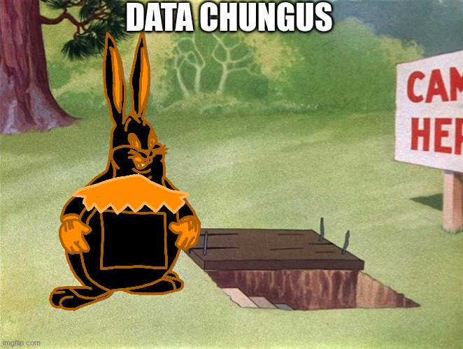 Big Chungus | DATA CHUNGUS | image tagged in big chungus | made w/ Imgflip meme maker