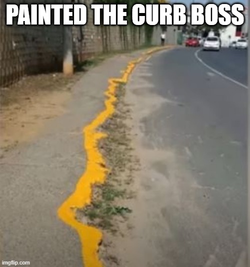 Painted | PAINTED THE CURB BOSS | image tagged in you had one job | made w/ Imgflip meme maker