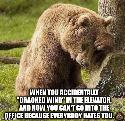 Embearassing | WHEN YOU ACCIDENTALLY "CRACKED WIND" IN THE ELEVATOR, AND NOW YOU CAN'T GO INTO THE OFFICE BECAUSE EVERYBODY HATES YOU. 💩 | image tagged in embearassed | made w/ Imgflip meme maker