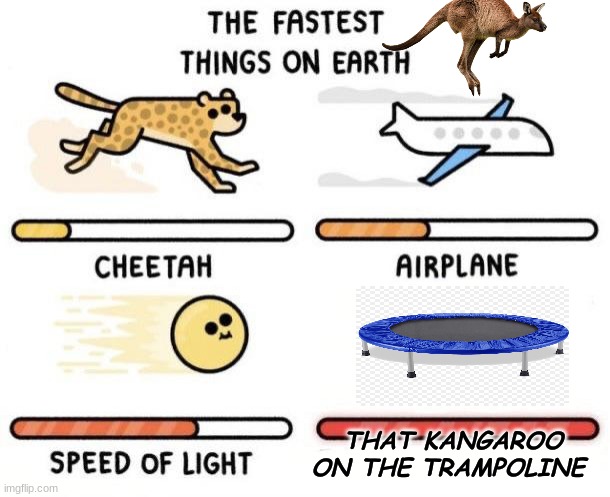 The fastest things on earth: cheetah, airplane, speed of light, | THAT KANGAROO ON THE TRAMPOLINE | image tagged in the fastest things on earth cheetah airplane speed of light | made w/ Imgflip meme maker