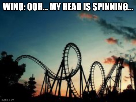 (Nearby…) | WING: OOH… MY HEAD IS SPINNING… | image tagged in roller coaster | made w/ Imgflip meme maker