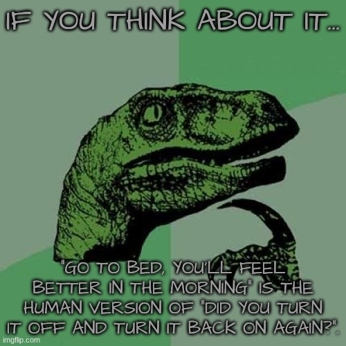 I SAID NOT TO LET ME GET BORED BECAUSE THIS IS WHAT HAPPENS!!! | IF YOU THINK ABOUT IT... "GO TO BED, YOU'LL FEEL BETTER IN THE MORNING" IS THE HUMAN VERSION OF "DID YOU TURN IT OFF AND TURN IT BACK ON AGAIN?". | image tagged in memes,philosoraptor | made w/ Imgflip meme maker