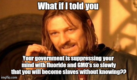 One Does Not Simply Meme | What if I told you Your government is suppressing your mind with fluoride and GMO's so slowly that you will become slaves without knowing?? | image tagged in memes,one does not simply | made w/ Imgflip meme maker