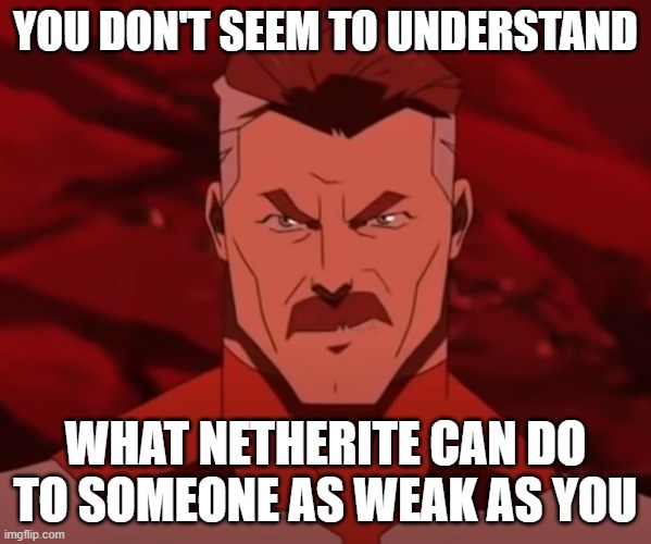 When Someone in Diamond Armor Challenges Me | YOU DON'T SEEM TO UNDERSTAND; WHAT NETHERITE CAN DO TO SOMEONE AS WEAK AS YOU | image tagged in you don't seem to understand | made w/ Imgflip meme maker