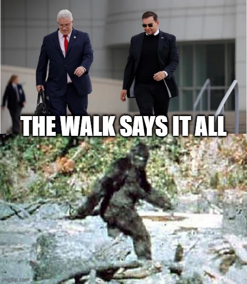 Walk Like a Conspiracy | THE WALK SAYS IT ALL | image tagged in bigfoot | made w/ Imgflip meme maker