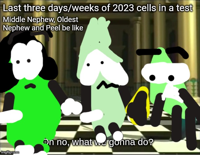be like Middle Nephew, Oldest Nephew and Peel | Last three days/weeks of 2023 cells in a test; Middle Nephew, Oldest Nephew and Peel be like | image tagged in veggietales oh no,sii come bill | made w/ Imgflip meme maker