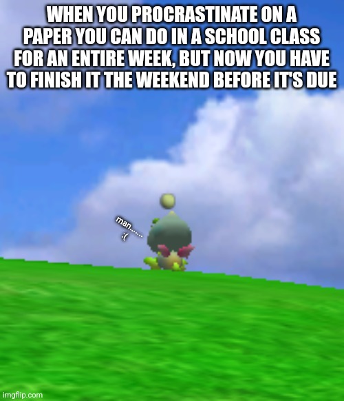 Pain.......... | WHEN YOU PROCRASTINATE ON A PAPER YOU CAN DO IN A SCHOOL CLASS FOR AN ENTIRE WEEK, BUT NOW YOU HAVE TO FINISH IT THE WEEKEND BEFORE IT'S DUE; man....... :( | image tagged in chao staring into the distance | made w/ Imgflip meme maker