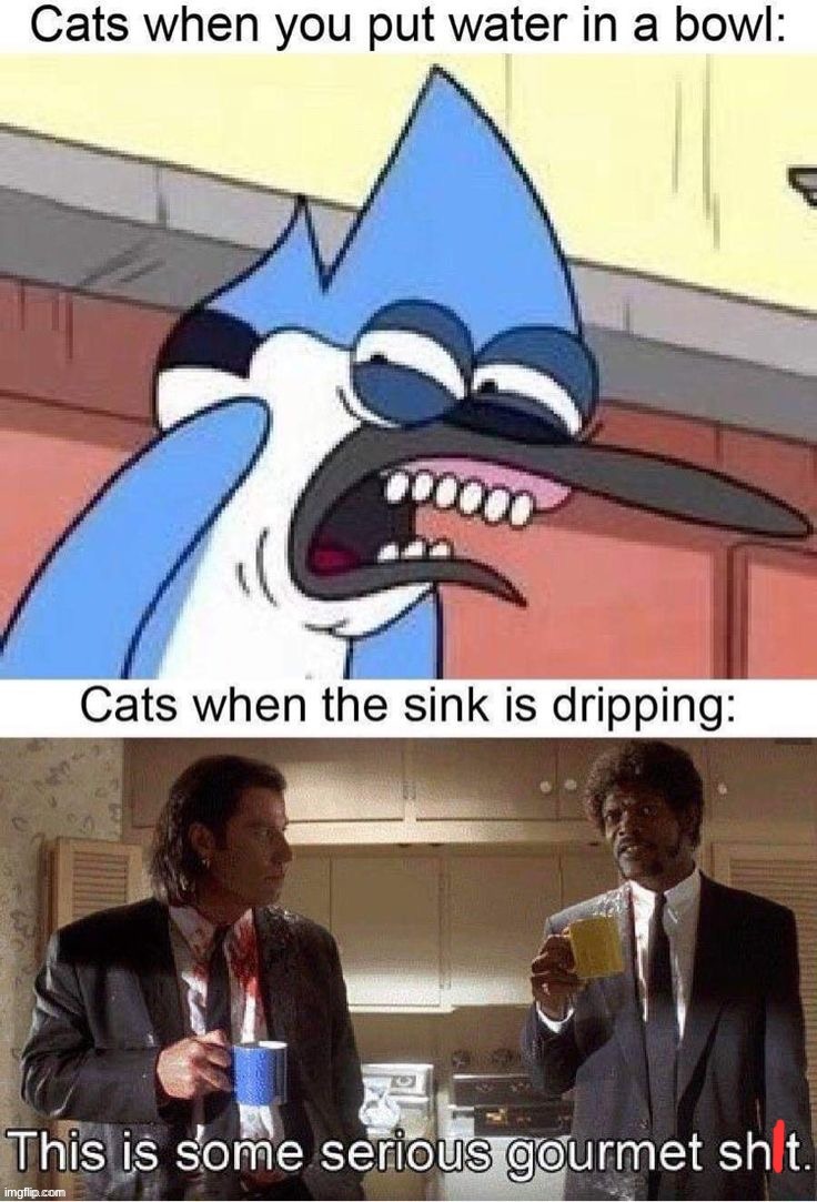 Sink dripping Blank Meme Template