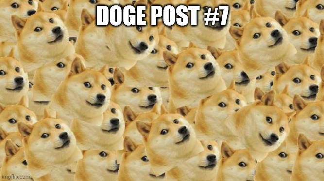 Multi Doge Meme | DOGE POST #7 | image tagged in memes,multi doge | made w/ Imgflip meme maker