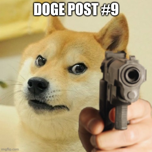 Doge holding a gun | DOGE POST #9 | image tagged in doge holding a gun | made w/ Imgflip meme maker