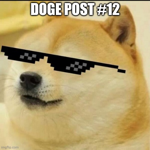 Sunglass Doge | DOGE POST #12 | image tagged in sunglass doge | made w/ Imgflip meme maker