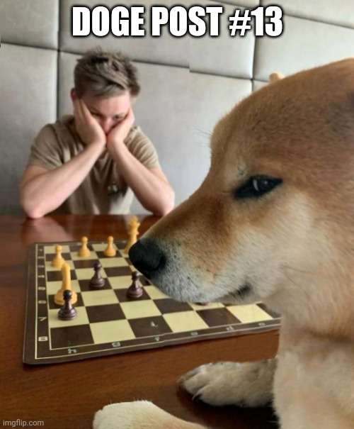 Chess doge | DOGE POST #13 | image tagged in chess doge | made w/ Imgflip meme maker