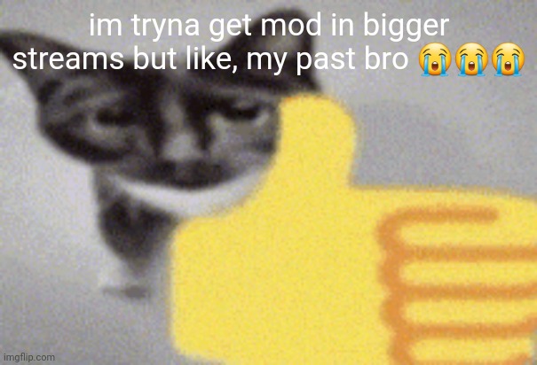 thumbs up cat | im tryna get mod in bigger streams but like, my past bro 😭😭😭 | image tagged in thumbs up cat | made w/ Imgflip meme maker