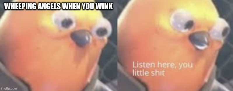 Dr who weeping angels when you blink | WHEEPING ANGELS WHEN YOU WINK | image tagged in listen here you little shit bird | made w/ Imgflip meme maker