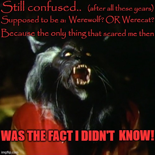Thriller | Still confused.. Supposed to be a:; Werewolf? OR Werecat? (after all these years); Because the only thing; that scared me then; KNOW! WAS THE FACT I DIDN'T | image tagged in thriller | made w/ Imgflip meme maker