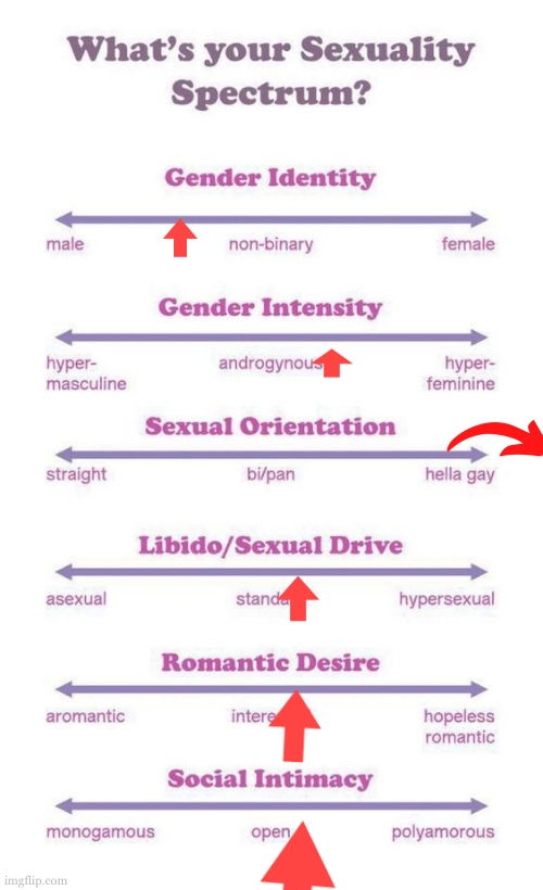 What's your sexuality spectrum? | image tagged in what's your sexuality spectrum | made w/ Imgflip meme maker