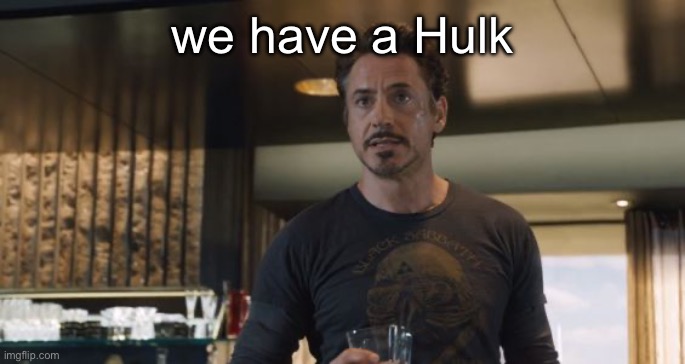 WE HAVE THE HULK | we have a Hulk | image tagged in we have the hulk | made w/ Imgflip meme maker