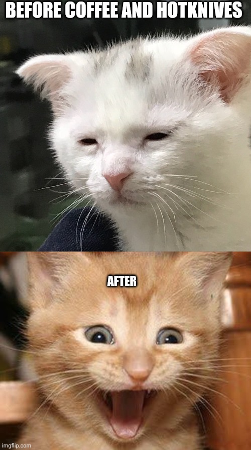 BEFORE COFFEE AND HOTKNIVES; AFTER | image tagged in i'm awake but at what cost,memes,excited cat | made w/ Imgflip meme maker