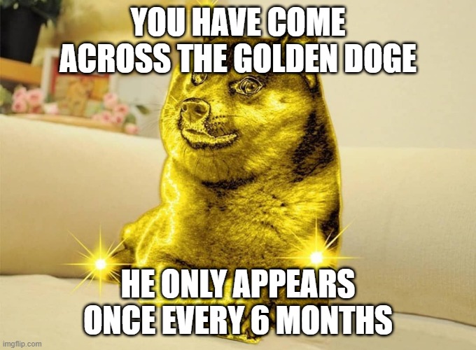 clever title | YOU HAVE COME ACROSS THE GOLDEN DOGE; HE ONLY APPEARS ONCE EVERY 6 MONTHS | image tagged in golden doge | made w/ Imgflip meme maker
