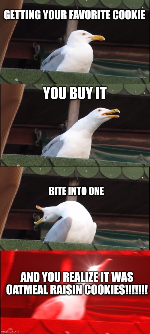 Your cookie | GETTING YOUR FAVORITE COOKIE; YOU BUY IT; BITE INTO ONE; AND YOU REALIZE IT WAS OATMEAL RAISIN COOKIES!!!!!!! | image tagged in memes,inhaling seagull | made w/ Imgflip meme maker