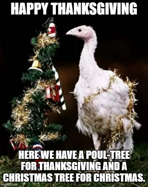 meme by Brad Christmas tree vs. poul-try | HAPPY THANKSGIVING; HERE WE HAVE A POUL-TREE FOR THANKSGIVING AND A CHRISTMAS TREE FOR CHRISTMAS. | image tagged in christmas meme | made w/ Imgflip meme maker