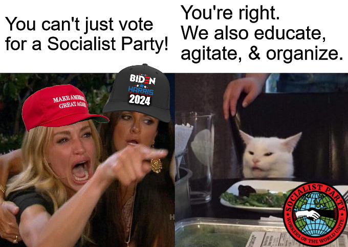 I can, and I will. | You can't just vote for a Socialist Party! You're right. We also educate, agitate, & organize. 2024 | image tagged in memes,woman yelling at cat,socialist,socialists,socialist party usa,stodden and cholensky 2024 | made w/ Imgflip meme maker