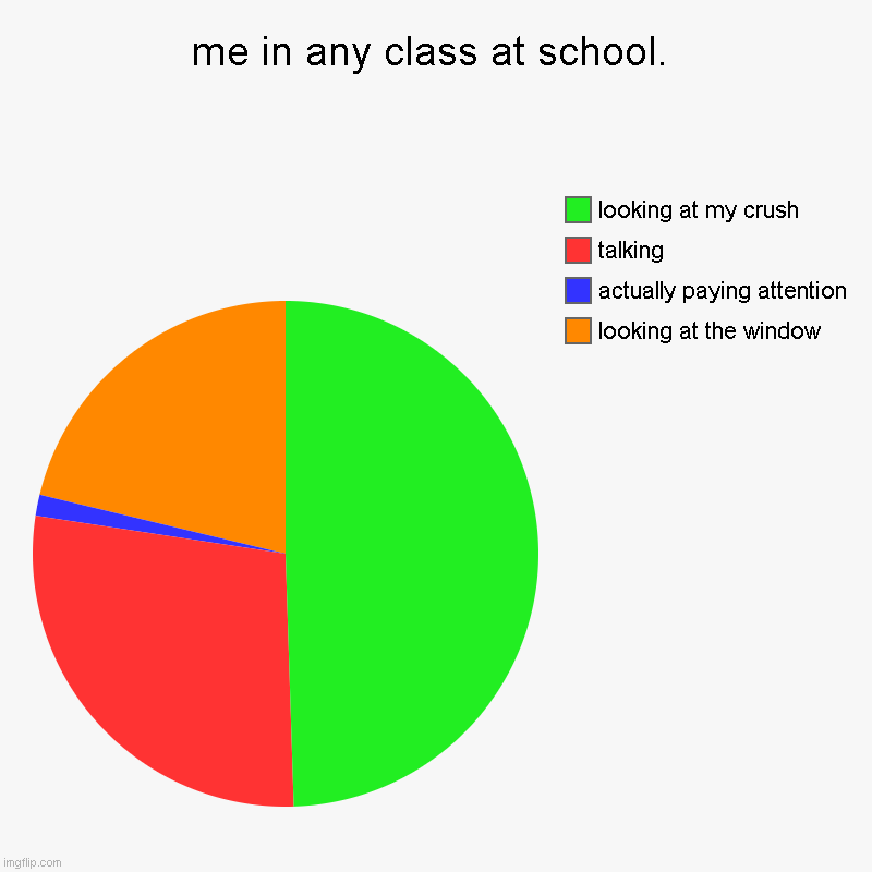 me in any class at school. | looking at the window, actually paying attention, talking, looking at my crush | image tagged in charts,pie charts | made w/ Imgflip chart maker