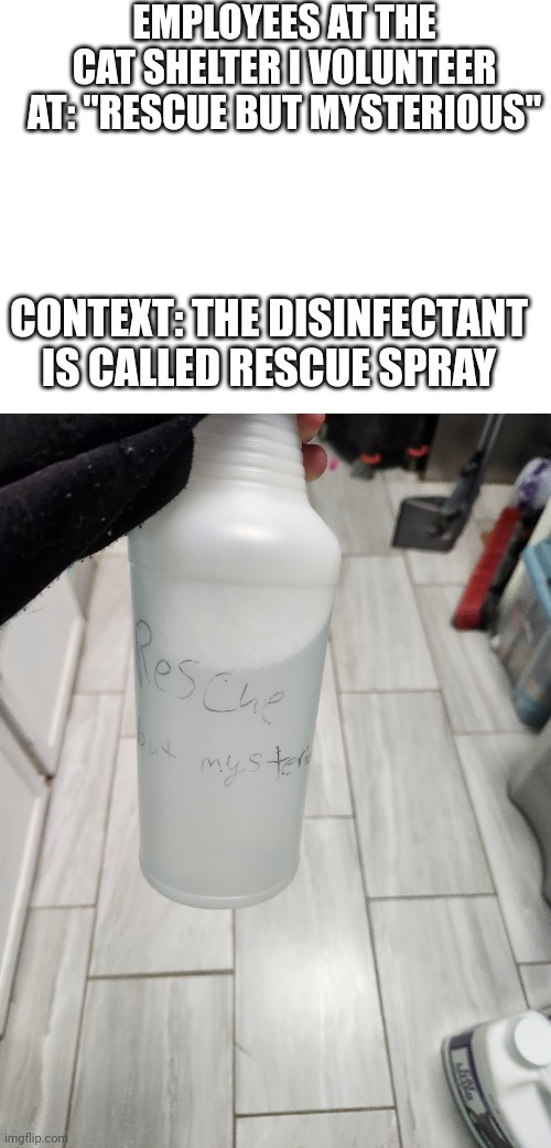 When you volunteer at the independently owned, gay, autistic cat shelter | EMPLOYEES AT THE CAT SHELTER I VOLUNTEER AT: "RESCUE BUT MYSTERIOUS"; CONTEXT: THE DISINFECTANT IS CALLED RESCUE SPRAY | image tagged in cats,work | made w/ Imgflip meme maker