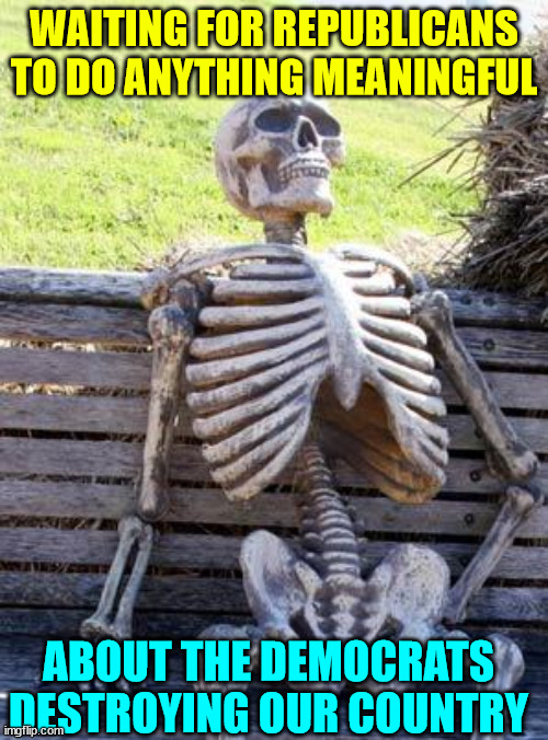 C'mon do something Repubs... | WAITING FOR REPUBLICANS TO DO ANYTHING MEANINGFUL; ABOUT THE DEMOCRATS DESTROYING OUR COUNTRY | image tagged in memes,waiting skeleton,c'mon do something,republicans | made w/ Imgflip meme maker