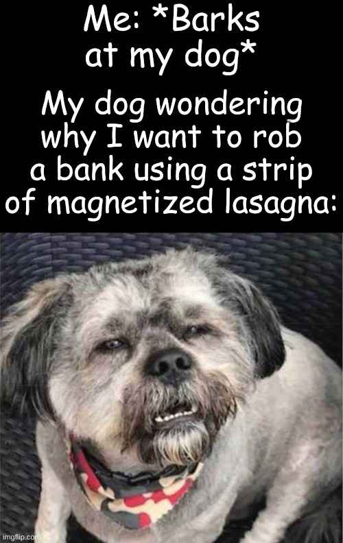 Don't know how, but I'll make it happen. | Me: *Barks at my dog*; My dog wondering why I want to rob a bank using a strip of magnetized lasagna: | image tagged in confused dog,memes,dogs,oh wow are you actually reading these tags,fredbear will eat all of your delectable kids | made w/ Imgflip meme maker
