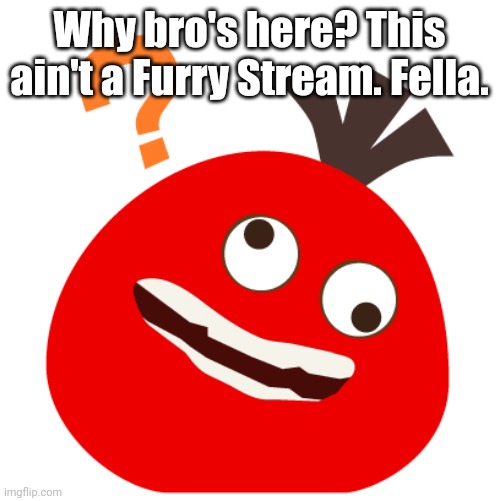 Huh? | Why bro's here? This ain't a Furry Stream. Fella. | image tagged in huh peke,shitpost | made w/ Imgflip meme maker