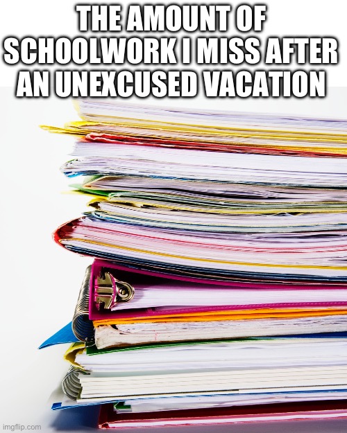 Bruh | THE AMOUNT OF SCHOOLWORK I MISS AFTER AN UNEXCUSED VACATION | image tagged in bruh,homework,relatable memes | made w/ Imgflip meme maker