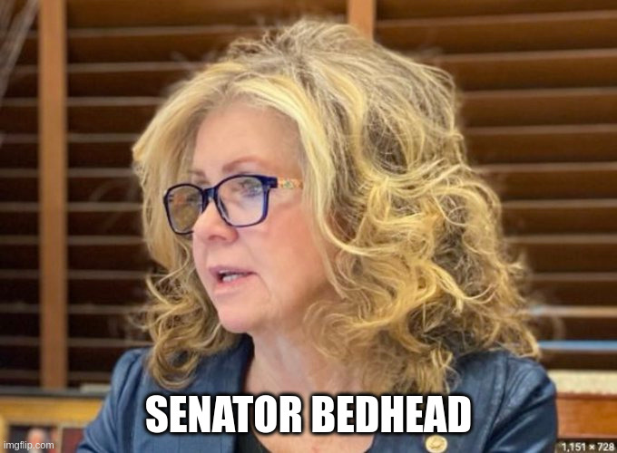 Senator Bedhead | SENATOR BEDHEAD | made w/ Imgflip meme maker