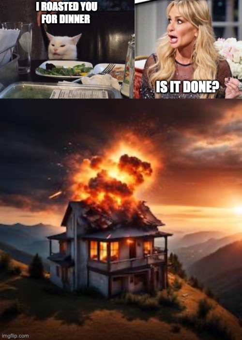 A Roasted Karen | I ROASTED YOU
FOR DINNER; IS IT DONE? | image tagged in salad cat | made w/ Imgflip meme maker