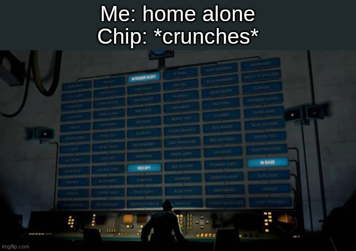 true gamer | Me: home alone
Chip: *crunches* | image tagged in red spy in the base,if you know you know,true gamer | made w/ Imgflip meme maker