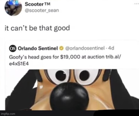 Goofys head | image tagged in goofys head | made w/ Imgflip meme maker