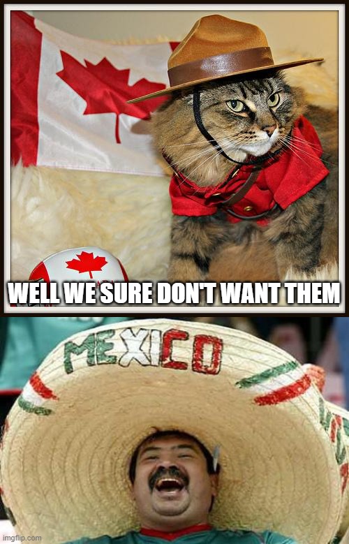 WELL WE SURE DON'T WANT THEM | image tagged in canada cat,mexico | made w/ Imgflip meme maker