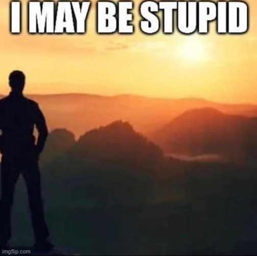 I may be stupid | image tagged in i may be stupid | made w/ Imgflip meme maker