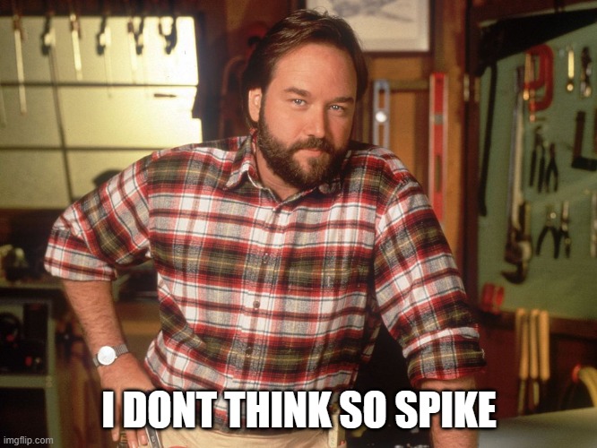 thats a no from me | I DONT THINK SO SPIKE | image tagged in i dont think so | made w/ Imgflip meme maker