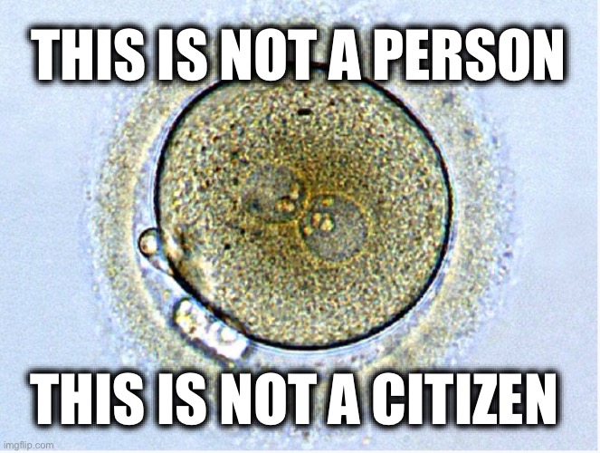 THIS IS NOT A PERSON; THIS IS NOT A CITIZEN | image tagged in memes,us constitution,women's rights,violence against women,personhood,gestational property | made w/ Imgflip meme maker